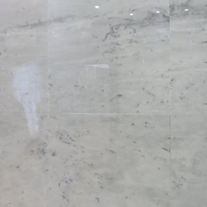 Van Gogn White NM137