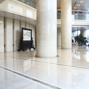 White Magnolia NMJ123