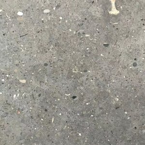 Azul Valverde NMJ209