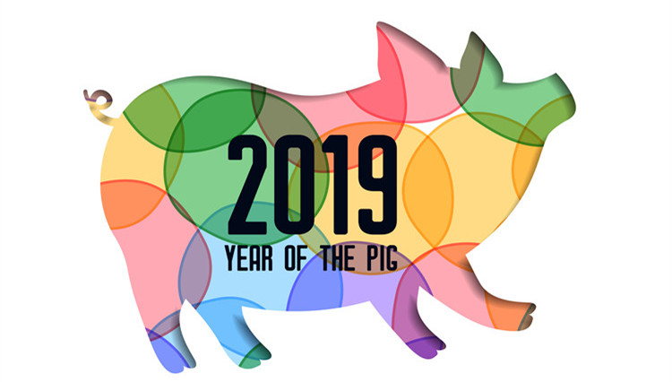2019 year of the pig