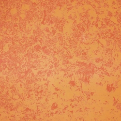Shakespeare Red AFM-P177