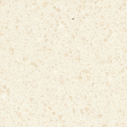 Eurasian Beige AFM-P178