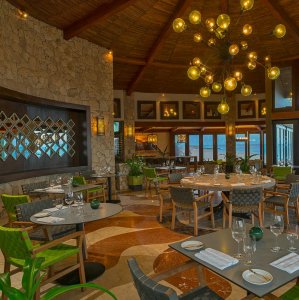 Sunny Yellow NSIC009