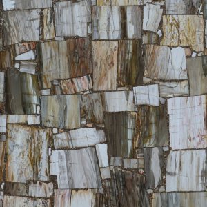 Petrity Wood Vein Cut ASP-Y011-2