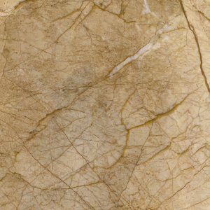 Golden Phoenix NMJ152