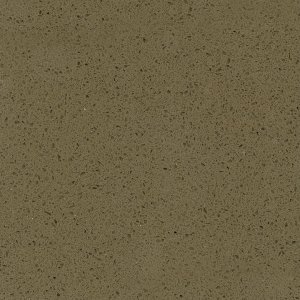 Shasta Brown NQ2023R